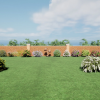 Flowering Shrub Collection