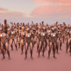 Party Dance NPC Animation Pack