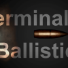 Terminal Ballistics v1.0.54 UE5.3