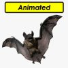 Vampire Dark Bat Low-poly 3D model