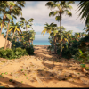 Palms Tree All Selection ( OLD VERSION )