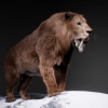 The Sabertooth