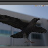Realistic Ravens and Crows