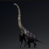 Brachiosaurus Sauropod