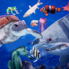 Sea Animals / 12 Meshes