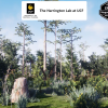 Depression Marsh Habitat Brush