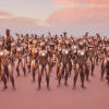 NPC Bundle Pack