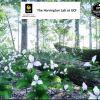 35 AR VR Northeastern US Plants and Ecosystems