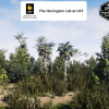 Basin Swamp Habitat Brush