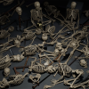Skeleton Bones