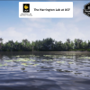 Subtropical Waterbody Habitat Brush
