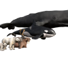 Arctic Animal Pack