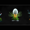NHC - Fluorescent Nature Pictures Pack 2