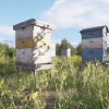 Beehives Modular Pack