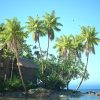 Tropical Island Pack