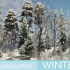 Landscaping Winter 1