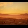 Desert Dune