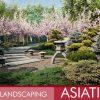 Landscaping Asiatic 1