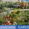 Landscaping Garden 1