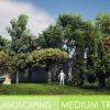 Landscaping Medium Trees Vol. 1