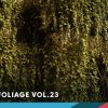 Foliage VOL.23 - Ivy (Low Poly)