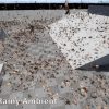 Ambient Fx in Unreal Engine
