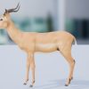 Antelope Impala