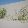 Vines 3D Models
