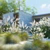 Maxtree – Plant Models Vol 139 for UE ( ANIMATION )