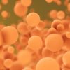 Abstract FX: Meshes