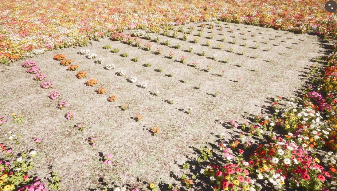 Nanite Flower Pack - Ảnh 2