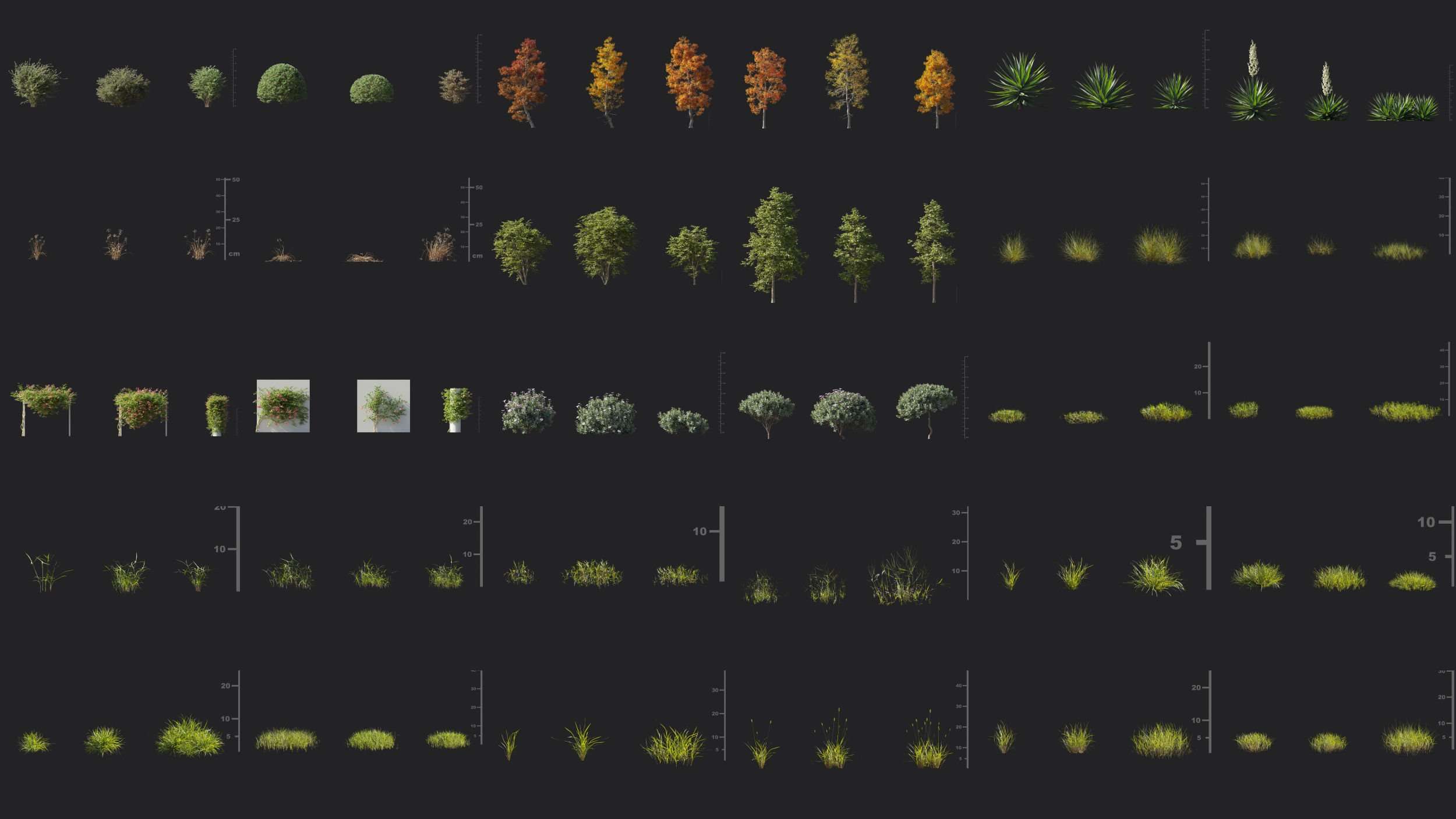 Maxtree – Plant Models Vol 60 for UE ( ANIMATION ) - Ảnh 2