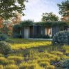 Maxtree – Plant Models Vol 60 for UE ( ANIMATION )