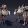 Camel Fantasy