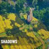 Easy Cloud Shadows