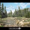 Forest Essentials ( Forest Environment , Procedural Mountain Forest, Forest )