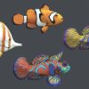 Underwater Life