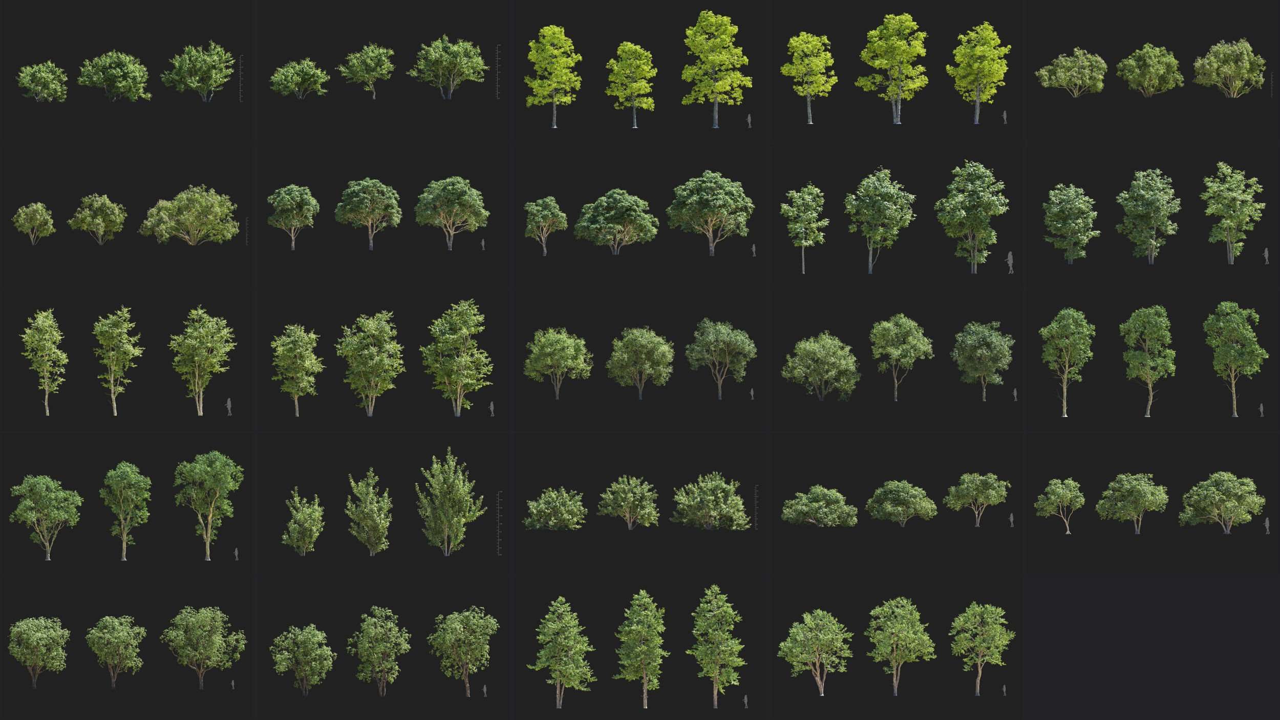 Maxtree – Plant Models Vol 137 for UE ( ANIMATION ) - Ảnh 2
