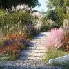 Maxtree – Plant Models Vol 9 for UE ( ANIMATION )