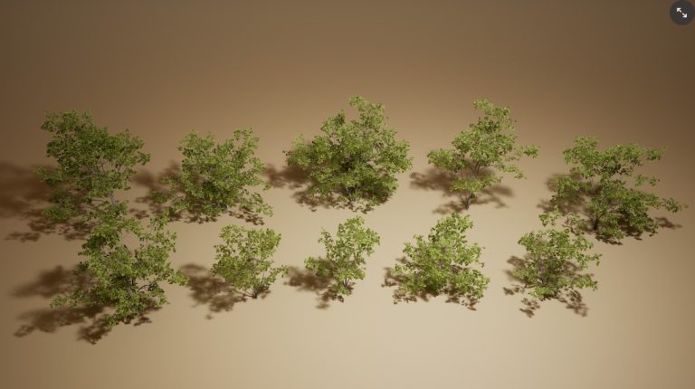Foliage VOL.19 - Scraggly Bushes (Nanite and Low Poly) - Ảnh 2