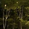 Falling Leaves System